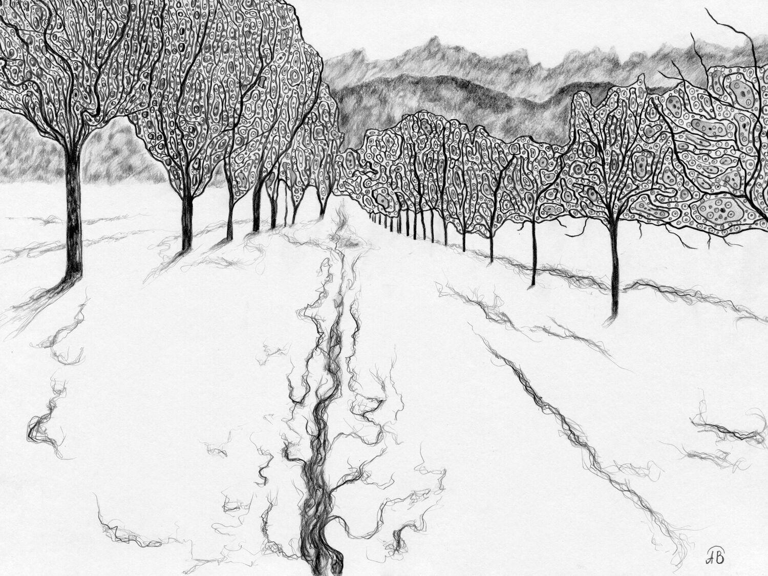 Рисунки на тему зима карандашом для срисовки » DreemPics.com - картинки и  рисунки на рабочий стол бесплатно