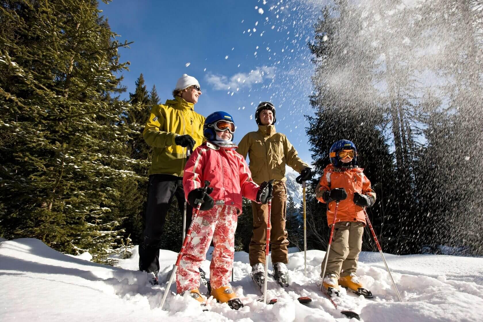 картинки : снег, зима, тень, горнолыжный спорт, спортивный инвентарь,  зимний вид спорта, виды спорта, Горы, Спуск, Лыжи, обувь, Лыжники, Бег на  лыжах, Нордические лыжи, Лыжный альпинизм, Лыжное снаряжение, Телемарк  2592x3872 - -