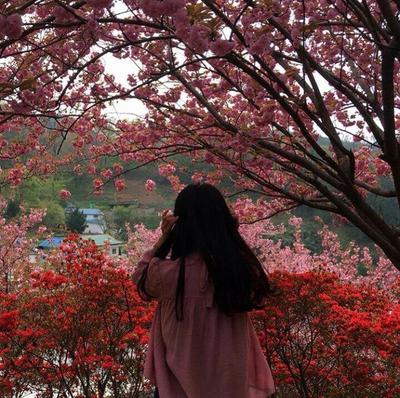 Красивый арт с девушкой плавно переходящей в весенние цветы вишни —  Картинки на аву