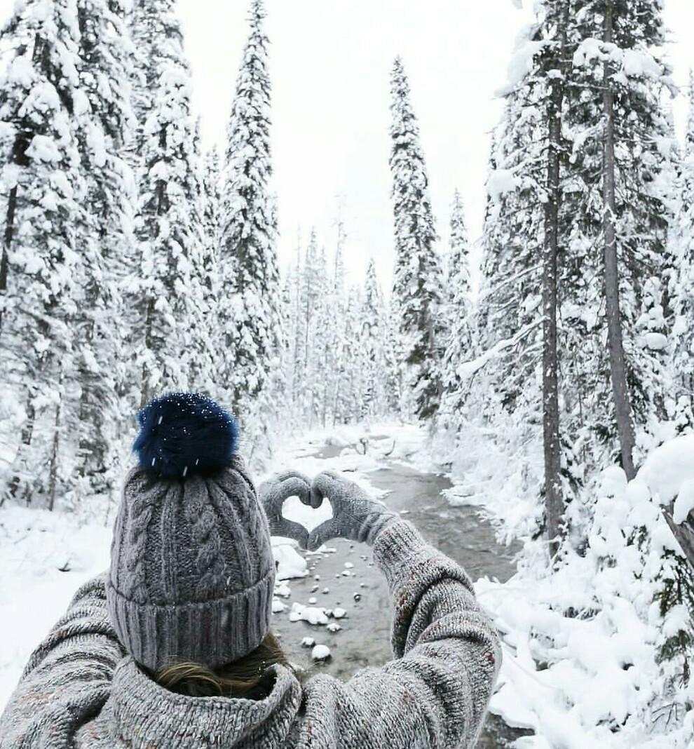 На аву зима лес (54 фото) »