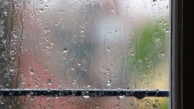 Дождь на стекле | Леопардовые обои, Обои с блестками, Пастельные фотографии