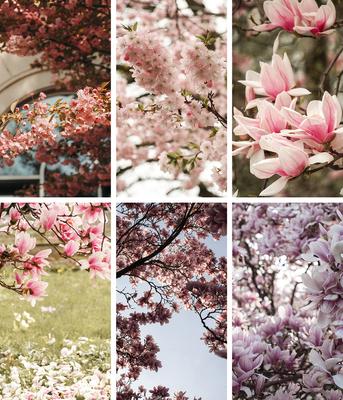 Обои весна на телефон - фото и картинки: 69 штук