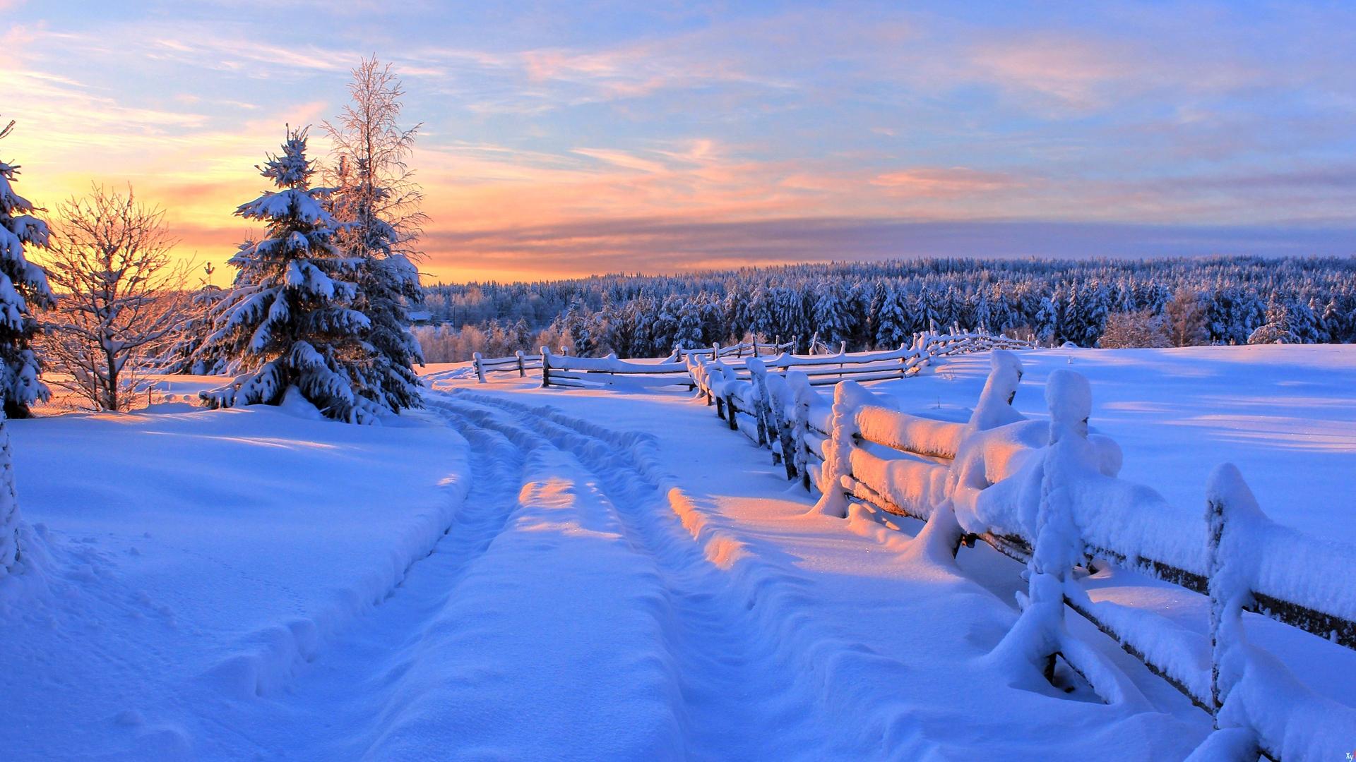 🎄 Новогодний фон, природа, зима …» — создано в Шедевруме