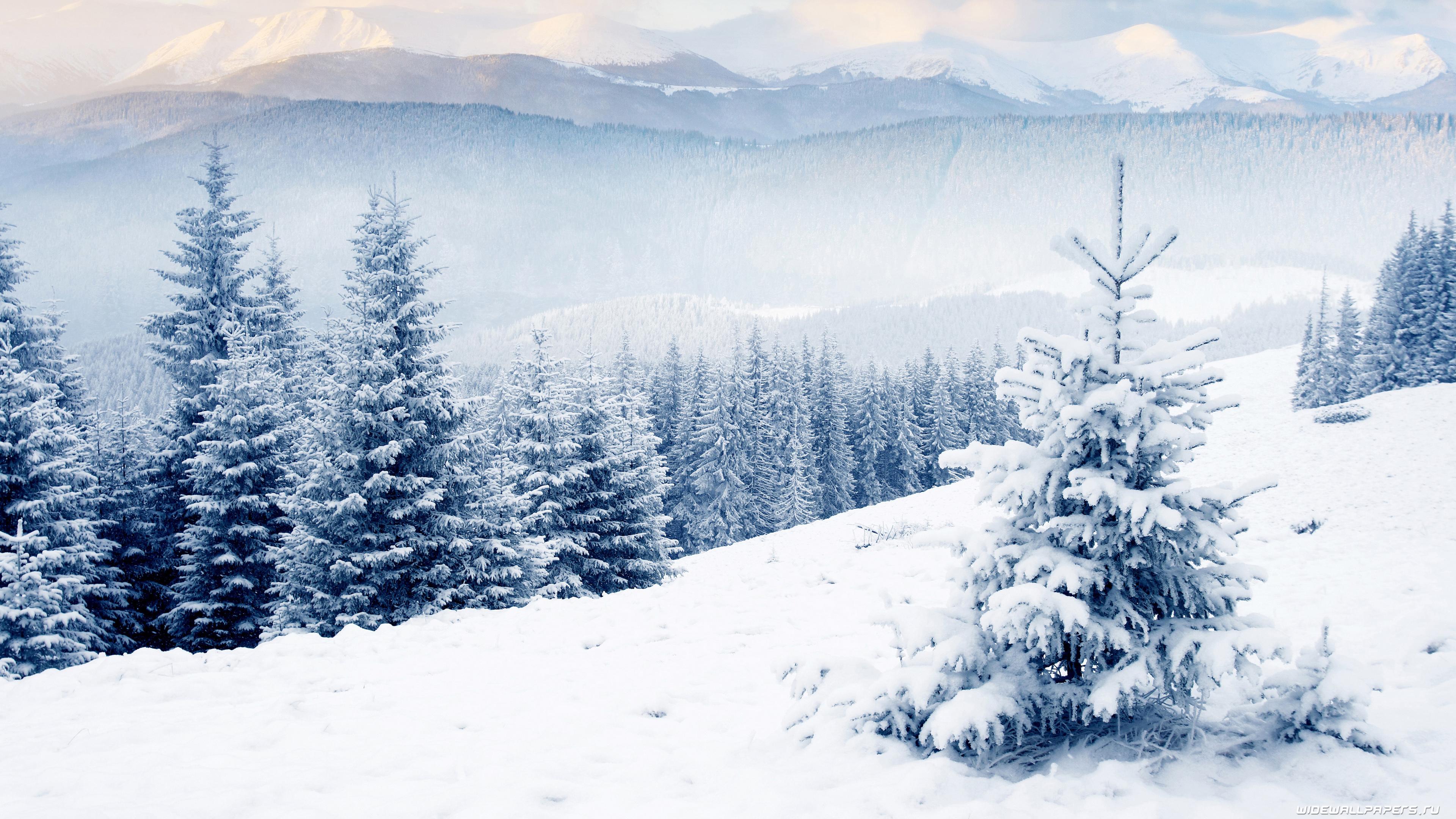 картинки зимы и белый фон обои скачать бесплатно, рождественская снежная  картинка бесплатно, рождество, снег фон картинки и Фото для бесплатной  загрузки