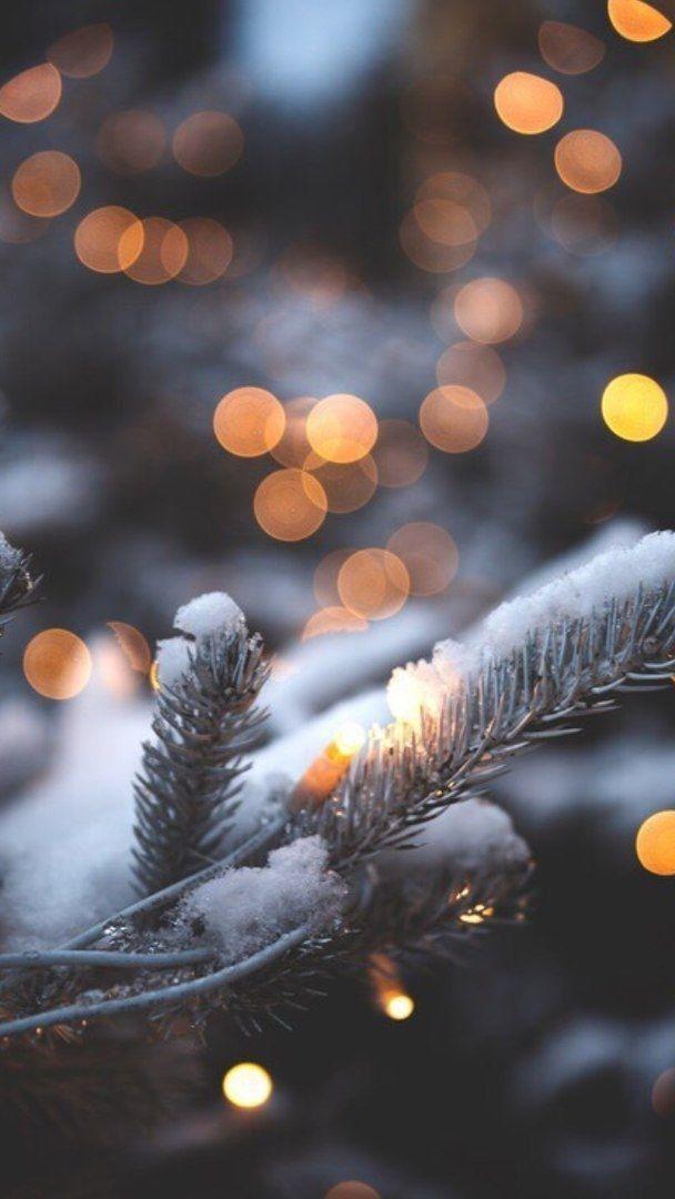зима #обои | Рождественские обои, Картинки снега, Зимние картинки