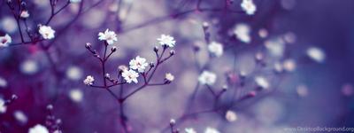 1 047 131 рез. по запросу «Обложка весна» — изображения, стоковые  фотографии, трехмерные объекты и векторная графика | Shutterstock