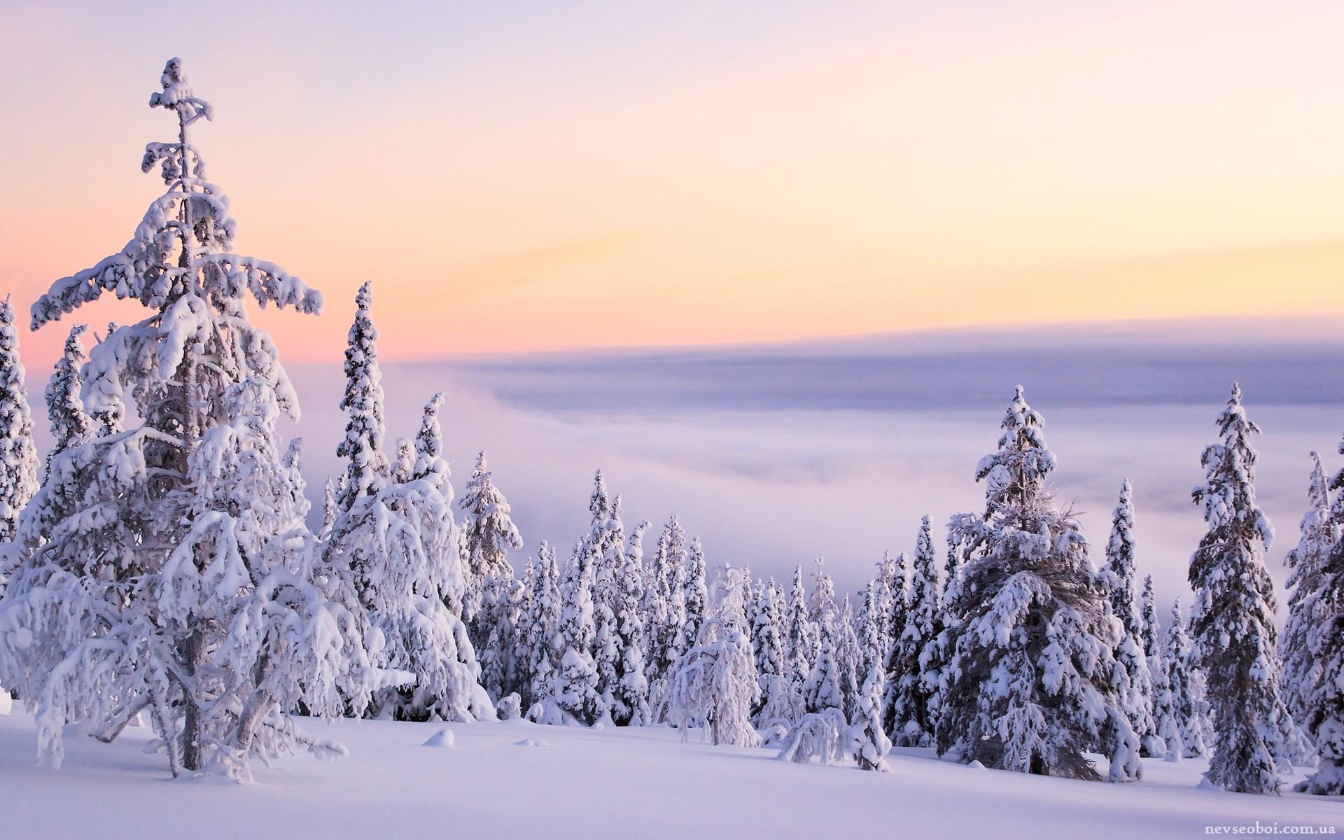 Красивые зимние пейзажи (100 обоев) » Обои для рабочего стола, красивые  картинки. Ежедневно