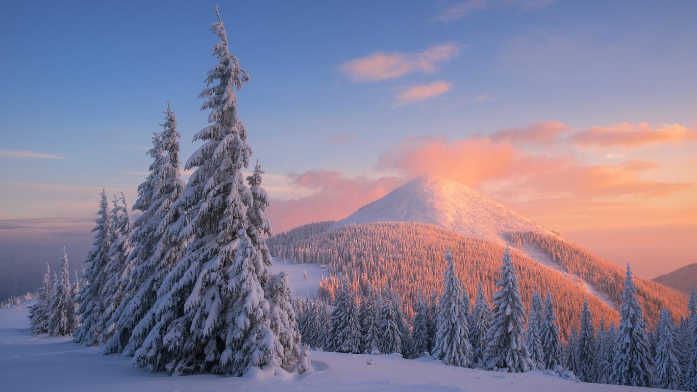 Скачать обои Зима, Снег, Природа, Деревья, Ель, Сосна, Горы в разрешении  1366x768 на рабочий стол