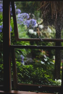Дождь красивый летний - 83 фото