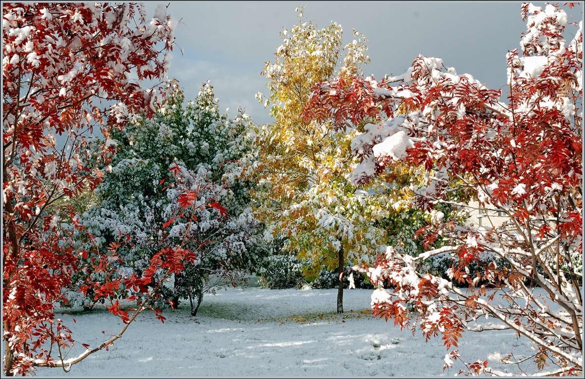 Зима декабрь (94 фото) - 94 фото