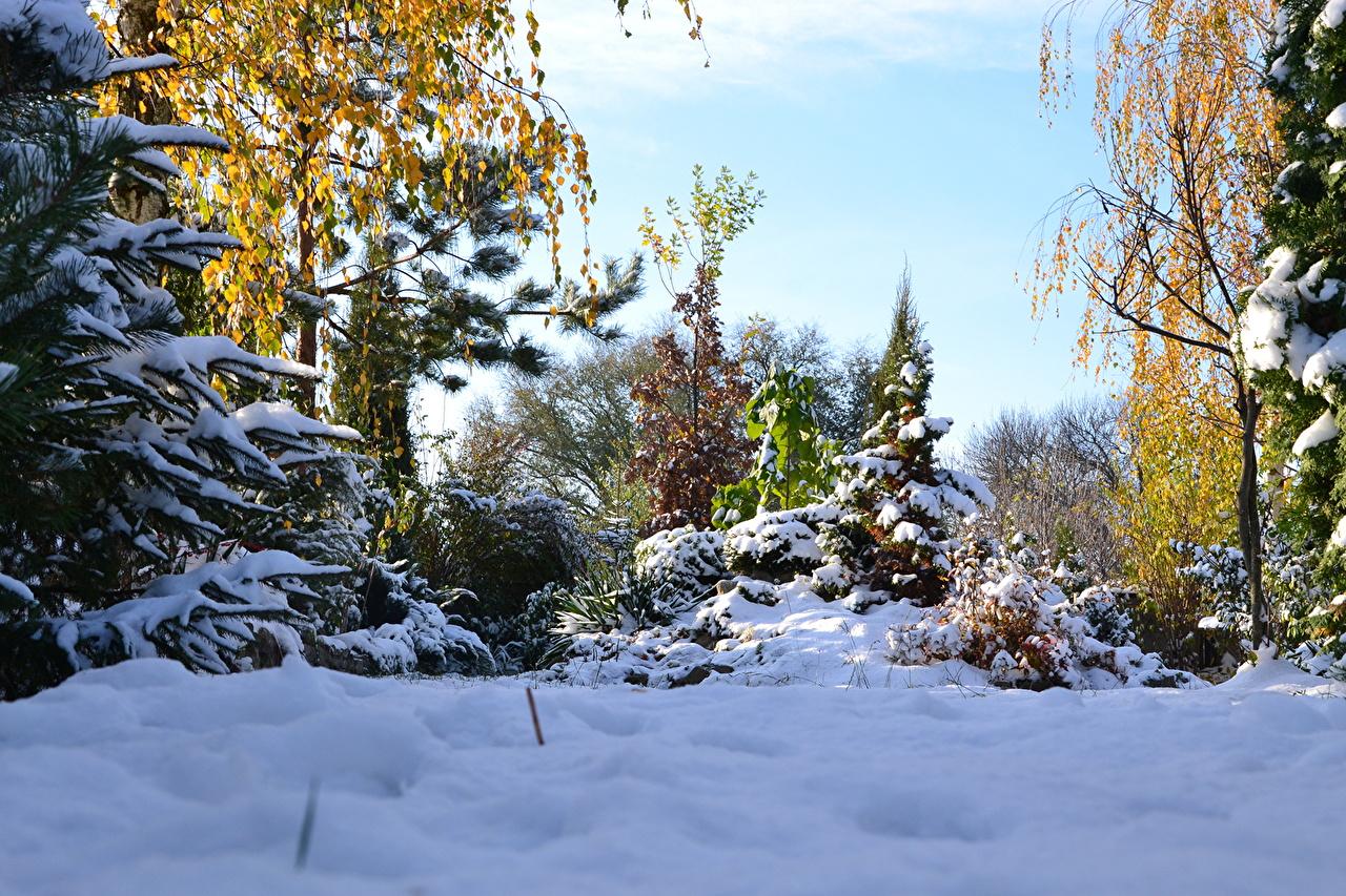 Картинки Зима Осень Природа снегу