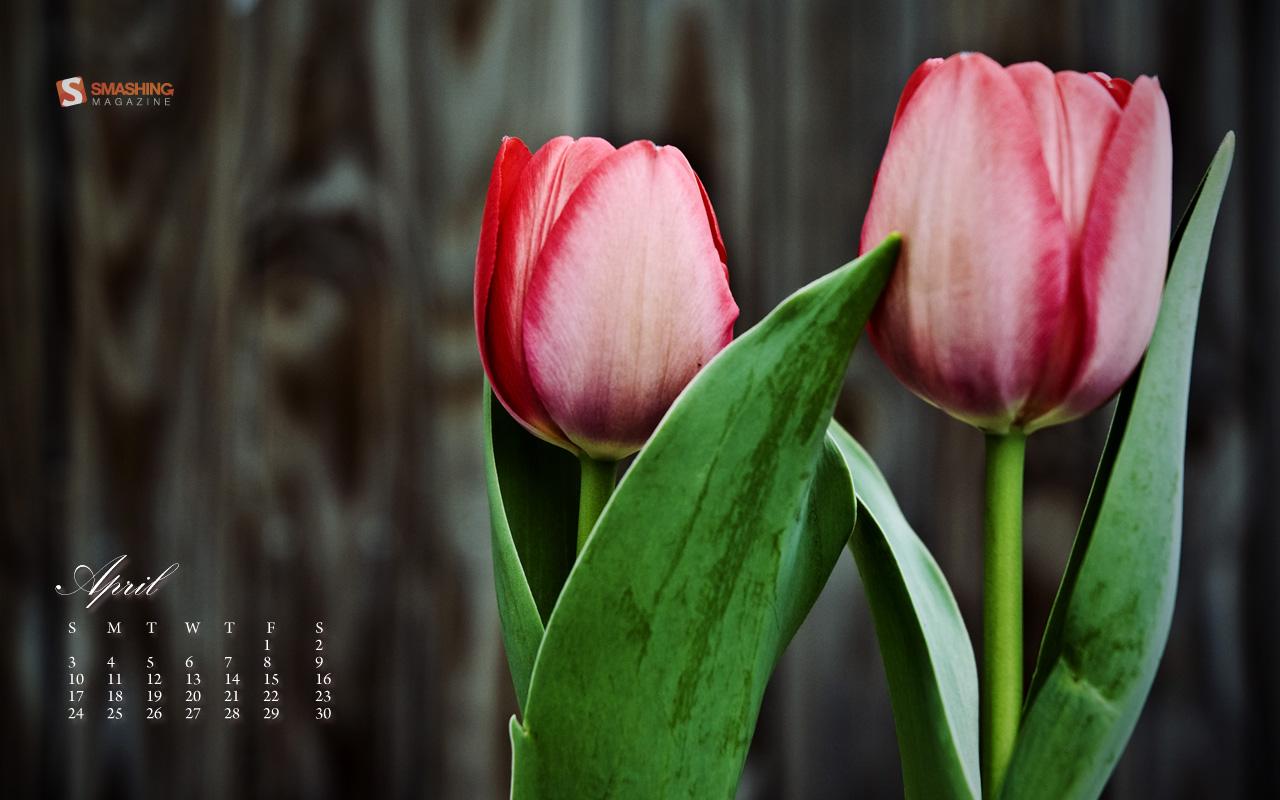 апрель весенние цветы Фон Обои Изображение для бесплатной загрузки - Pngtree