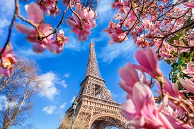 Парижская Весна - красивые фото