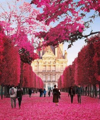 Парижская Весна - красивые фото