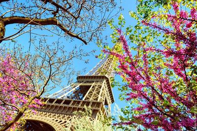 Весна в париже картинки - 81 фото