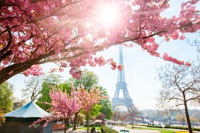 Картинки на рабочий стол весна в париже (69 фото) » Картинки и статусы про  окружающий мир вокруг