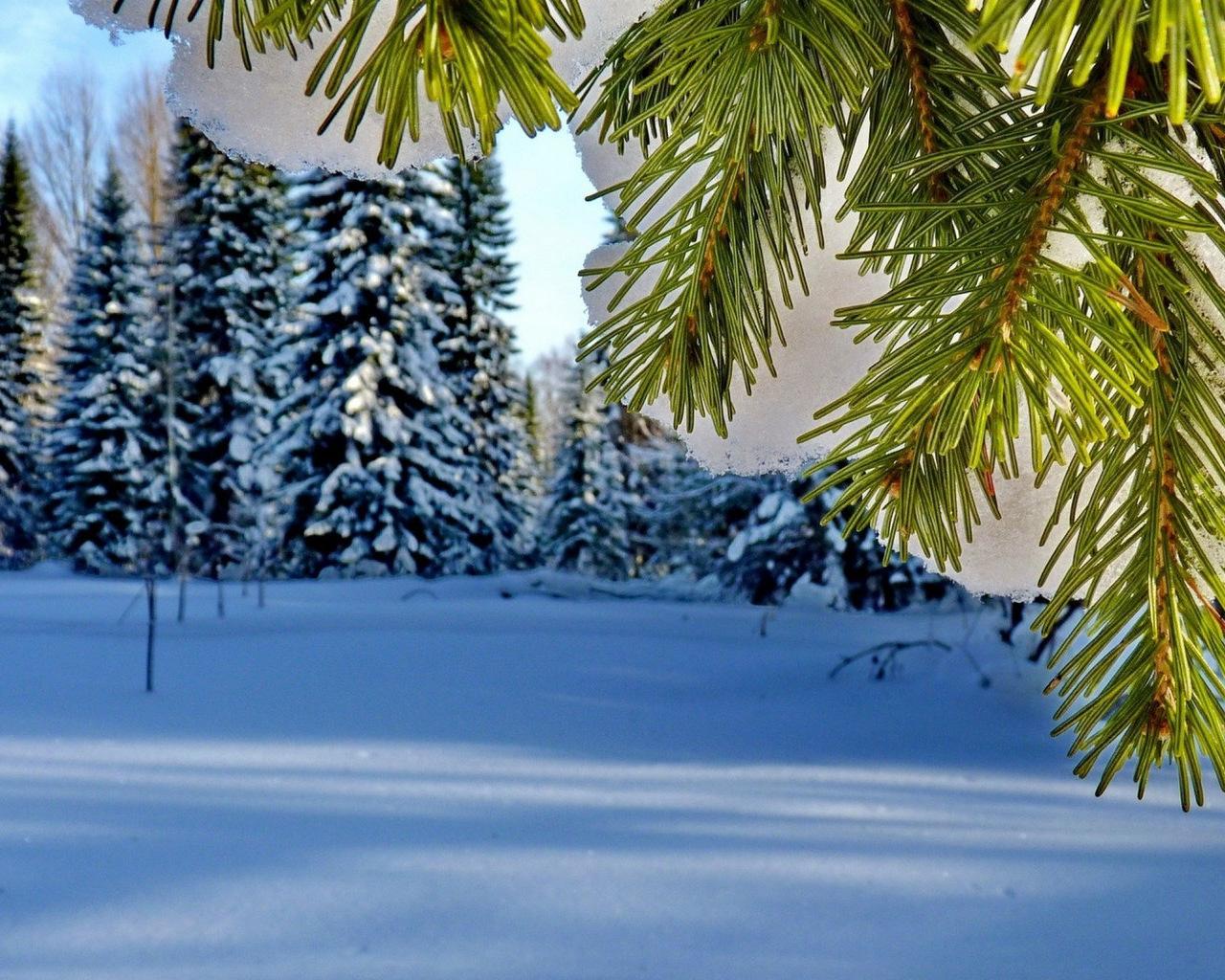 Обои на рабочий стол: Зима, Домик, Вечер, Снег, Деревья, Природа - скачать  картинку на ПК бесплатно № 67118