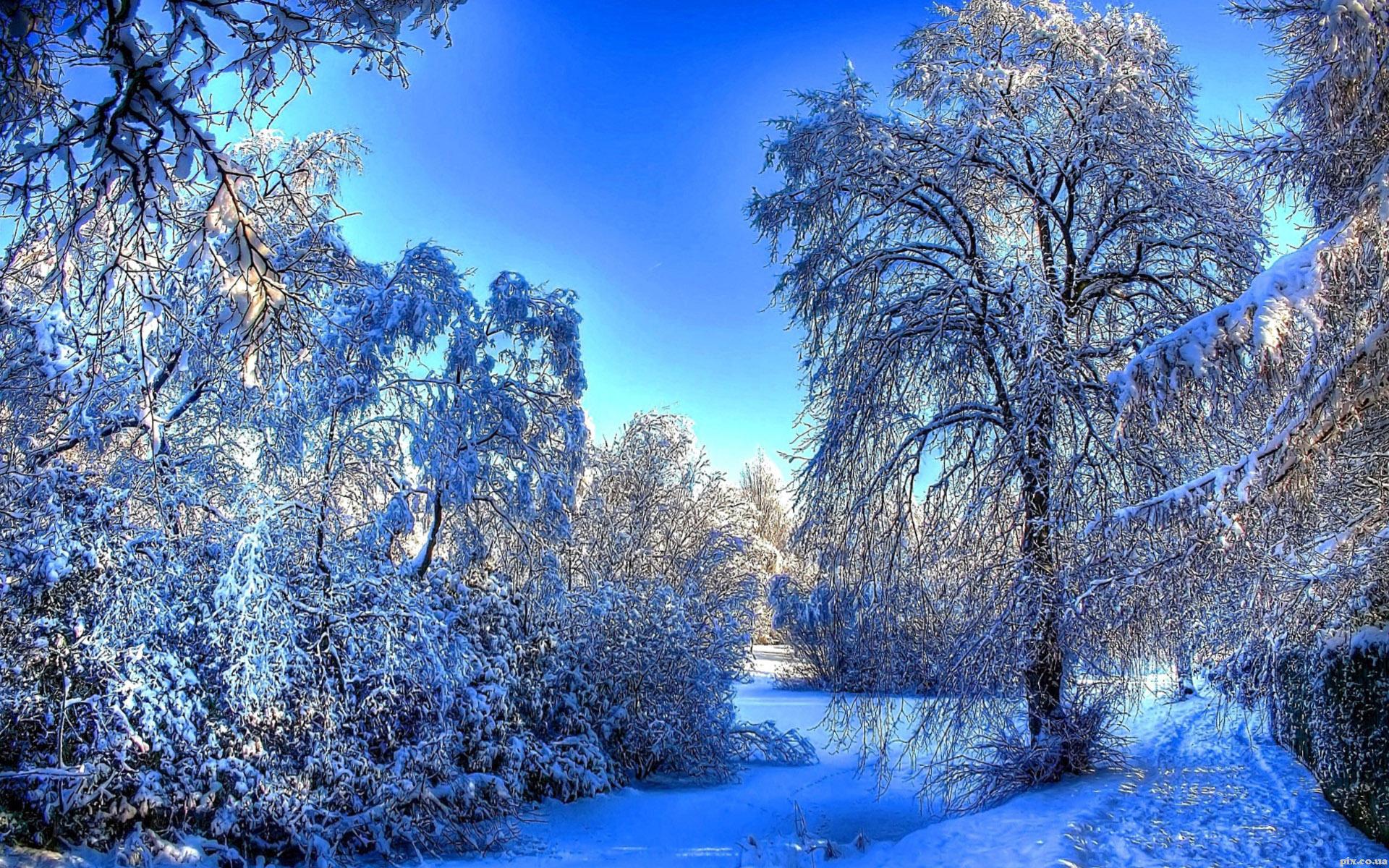 Эстетичные обои зима - 58 фото