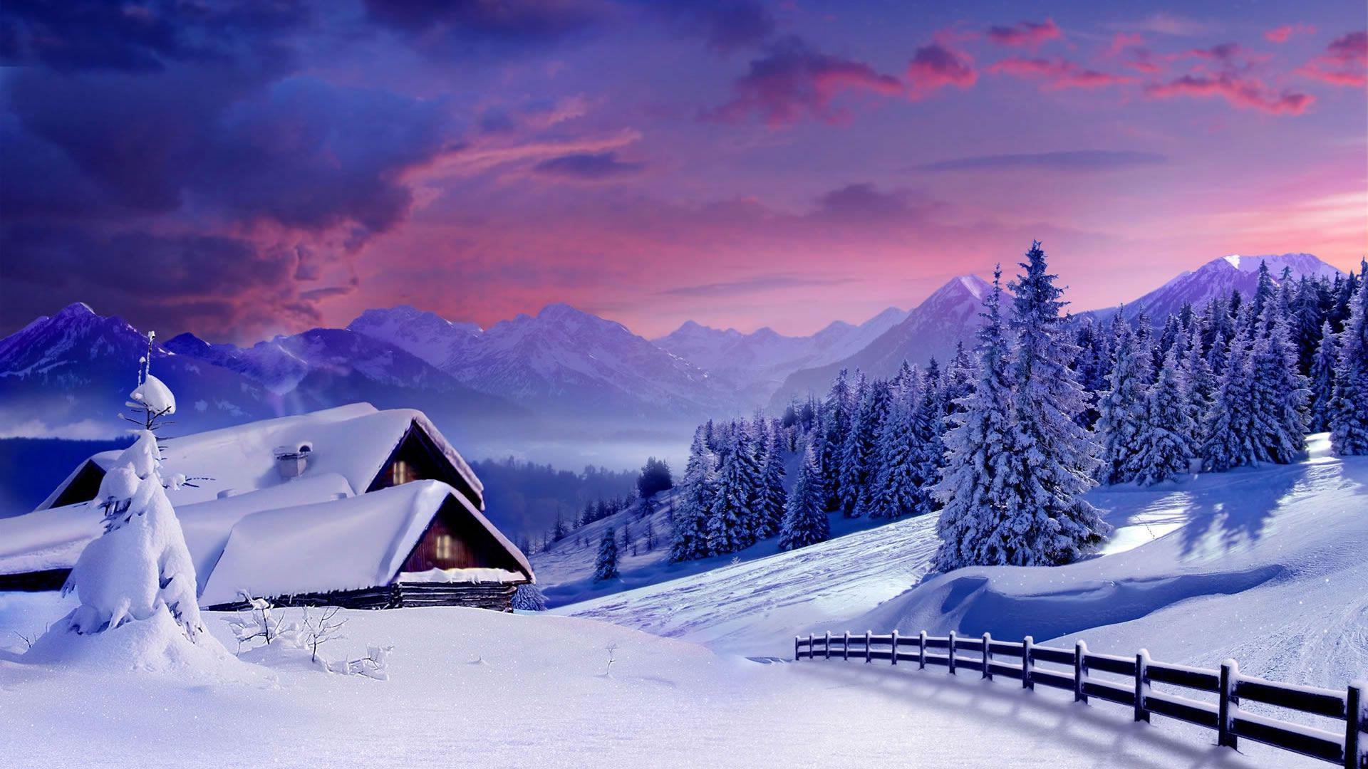 Снег, зима, лес Обои 1920x1080 Full HD (Full High Definition)