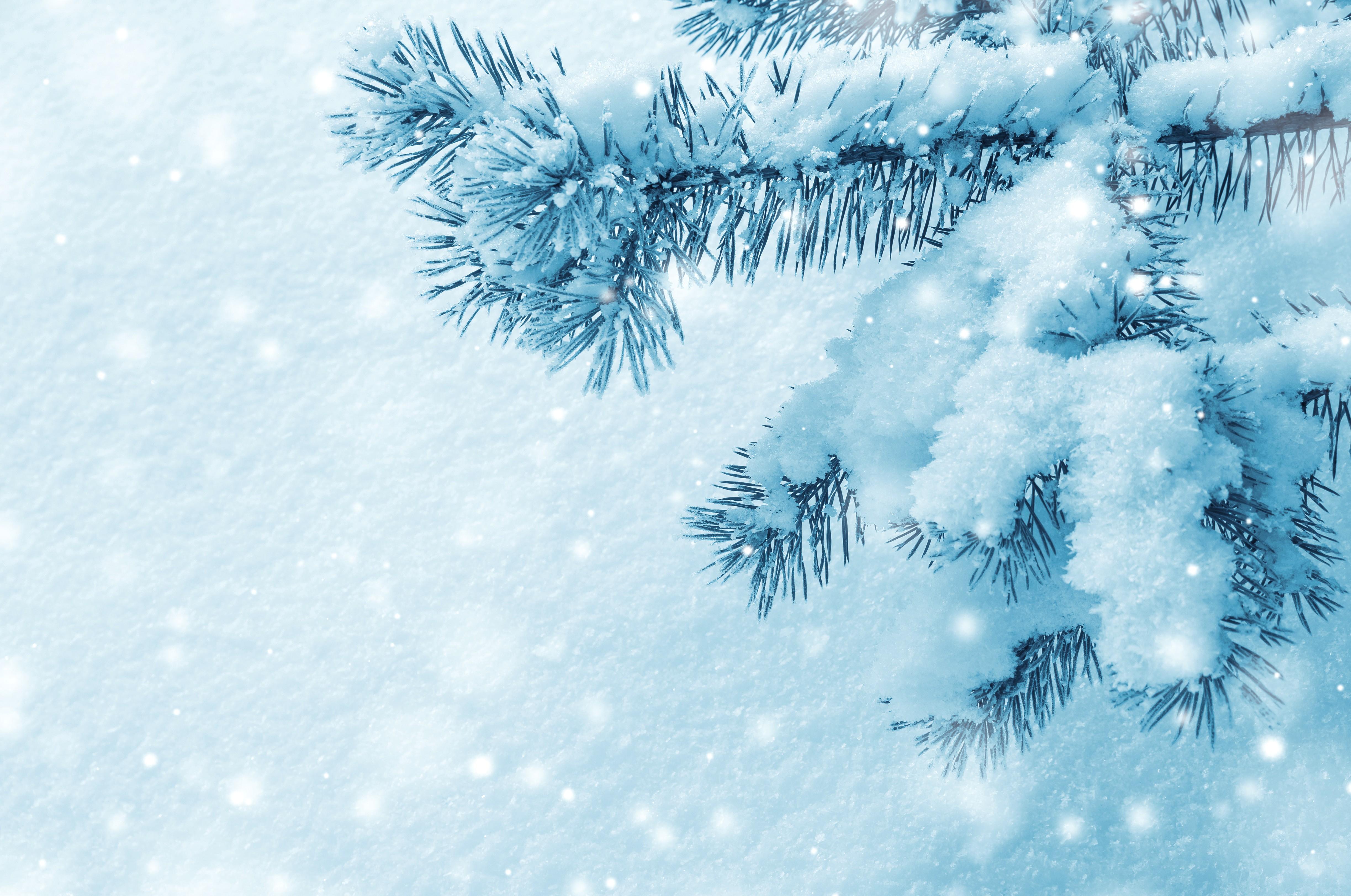 Картинки Рождество боке Ель Зима снегу Шарики на ветке