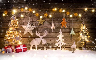 Обои елки, гирлянды, звезда, снег, зима, лес, новый год, рождество картинки  на рабочий стол, фото скачать бесплатно