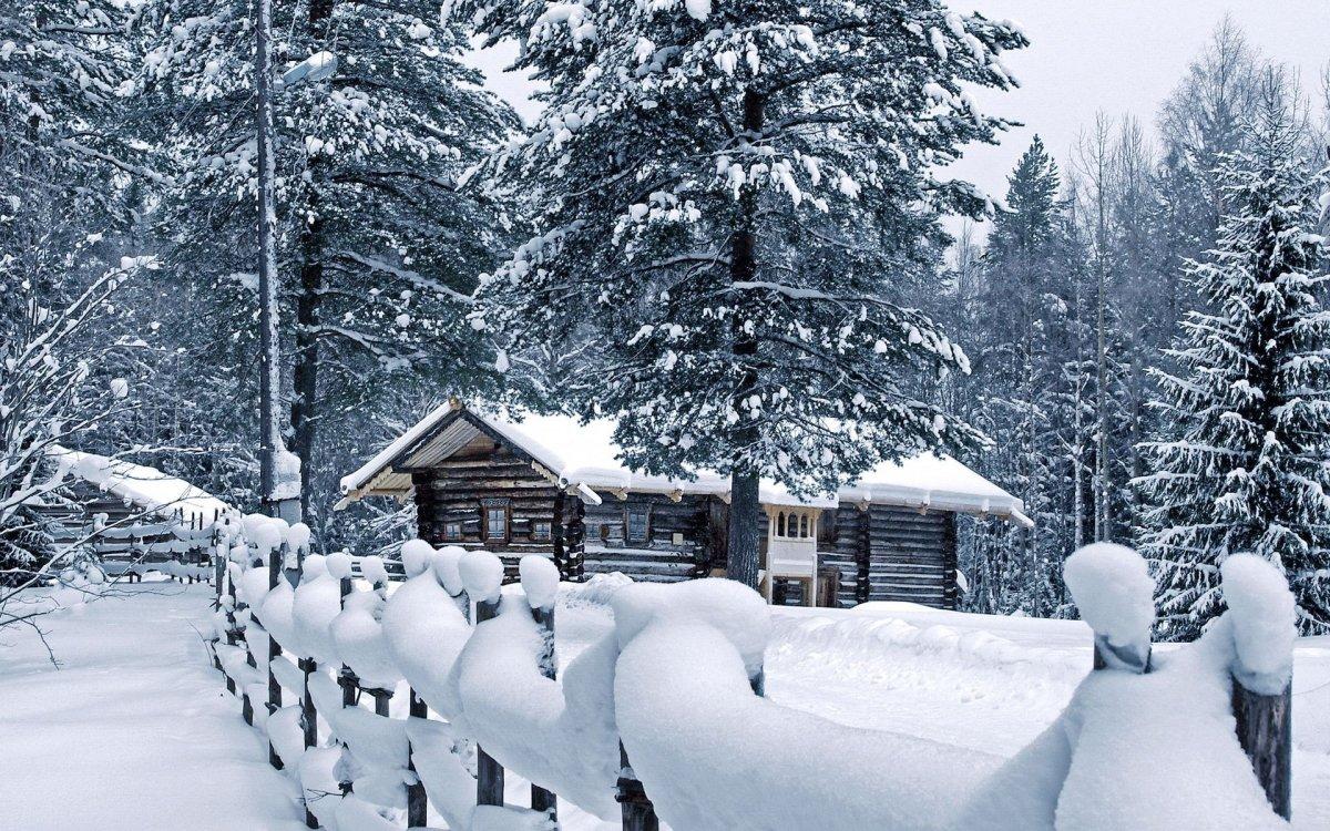 Фото Россия село Ель Зима Природа Снег Города сезон года