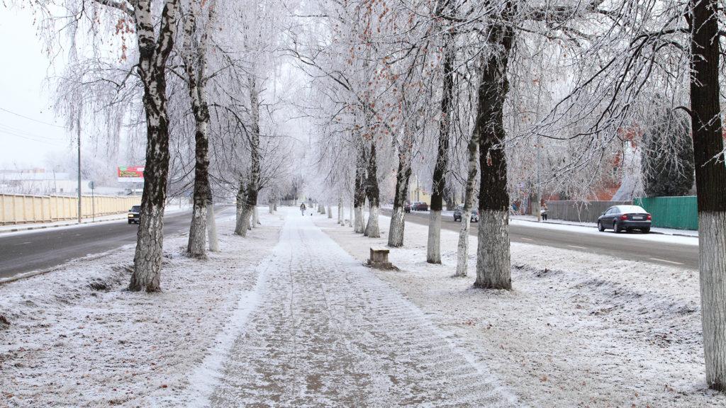 снег падает в городе зимней ночью, уличный фонарь, улица, зима фон картинки  и Фото для бесплатной загрузки
