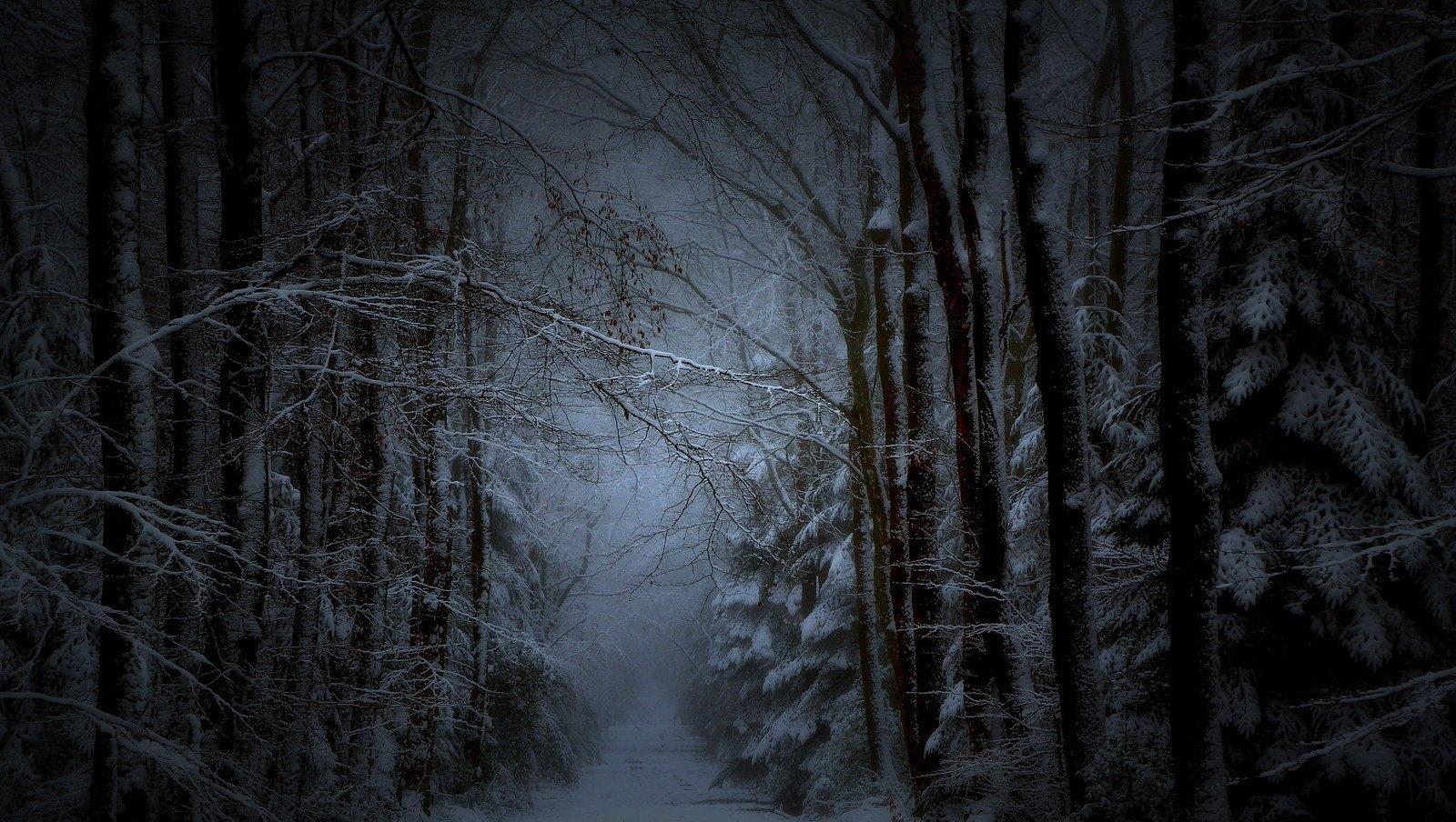 Зимний лесной пейзаж - 73 фото