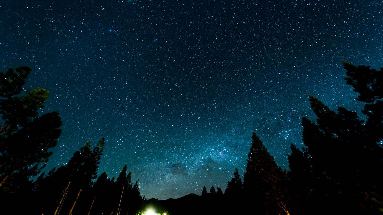 Обои звездное небо, ночь, звезды, лес, туманность картинки на рабочий стол,  фото скачать бесплатно