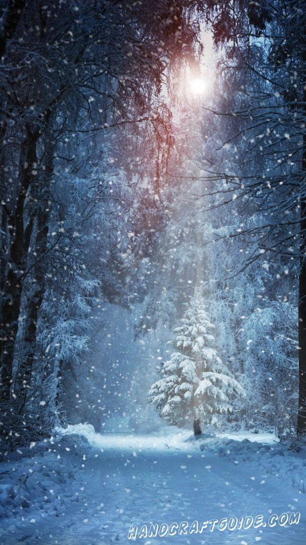 Красивые зимние обои - Обои на телефон, Зима, для детей от 7 лет |  HandCraftGuide | Фоновые рисунки, Эскизы деревьев, Картинки подсолнечника