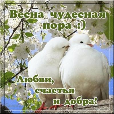 Сегодня празднуют первый день весны: лучшие поздравления в стихах,  открытках и прозе | Українські Новини
