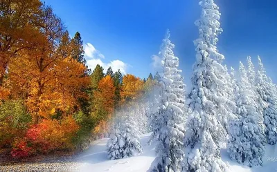 помогите написать сочинение на тему пришла зима - Школьные Знания.com