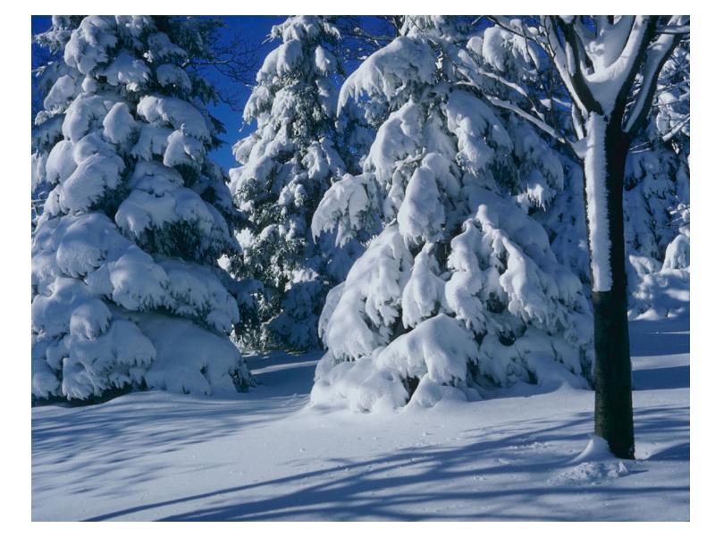 Картинки на тему #зима_ли - в Шедевруме