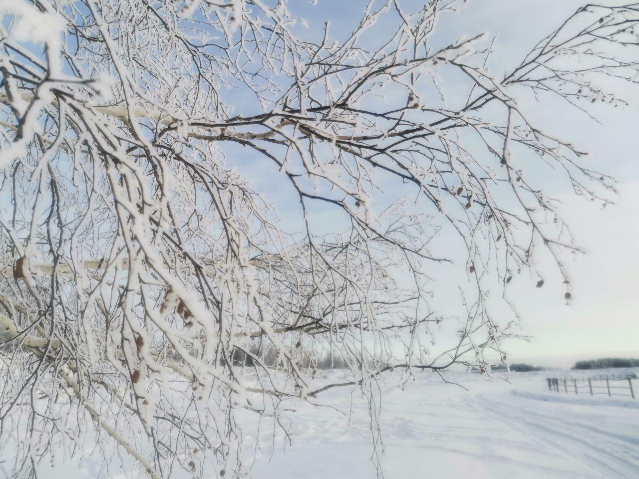 Зимние пейзажи Вильнюса - выпал снег - MadeinVilnius.lt - Дневник новостей  Вильнюса
