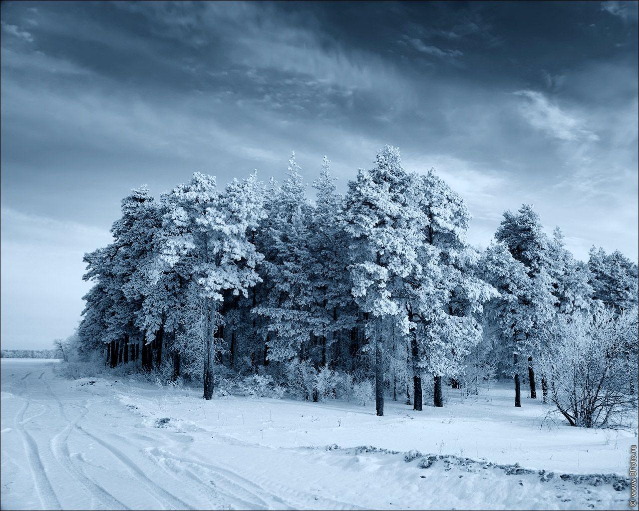 Широкоформатные обои зима 1920x1080, фото, обои зимы скачать высокого  качества