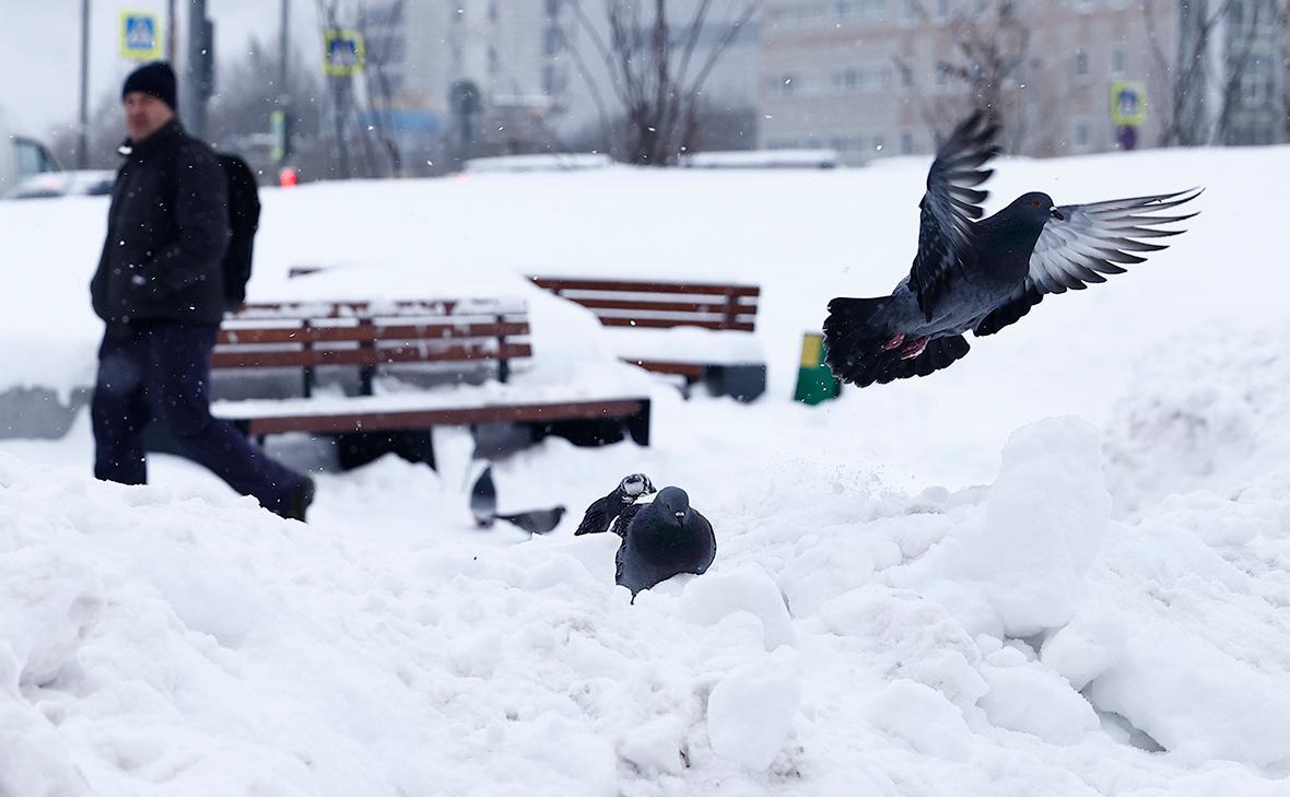 Когда уберут самокаты на зиму в Петербурге? Когда начинается сезон  электросамокатов весной?