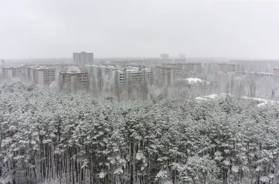 Погода на зиму 2023 в Украине - прогноз синоптиков | РБК Украина