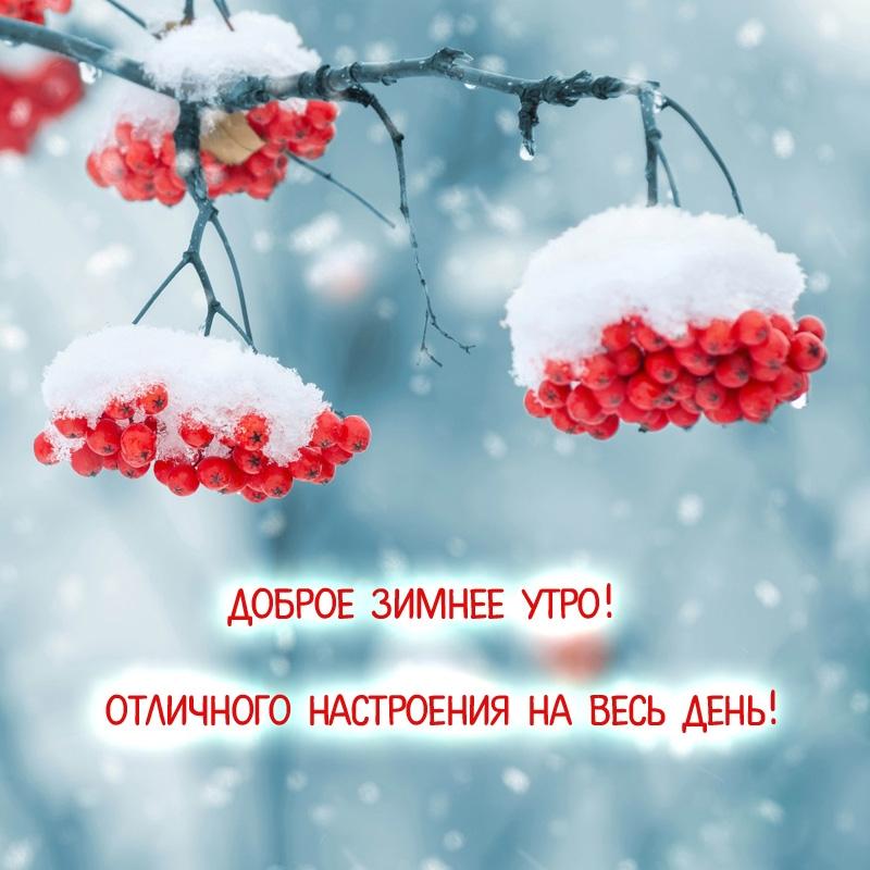 Картинка доброго зимнего дня и хорошего настроения | Открытки, Счастливые  картинки, Смешные открытки