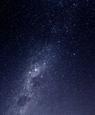 ночное небо с деревьями вдалеке, высокое разрешение, ночь, время фон  картинки и Фото для бесплатной загрузки