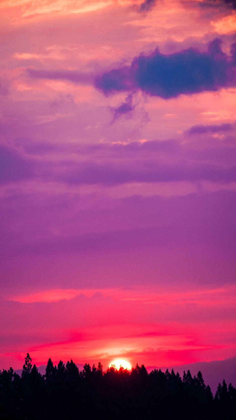 Скачать 938x1668 закат, небо, розовый, деревья, солнце обои, картинки  iphone 8/7/6s/6 for parallax