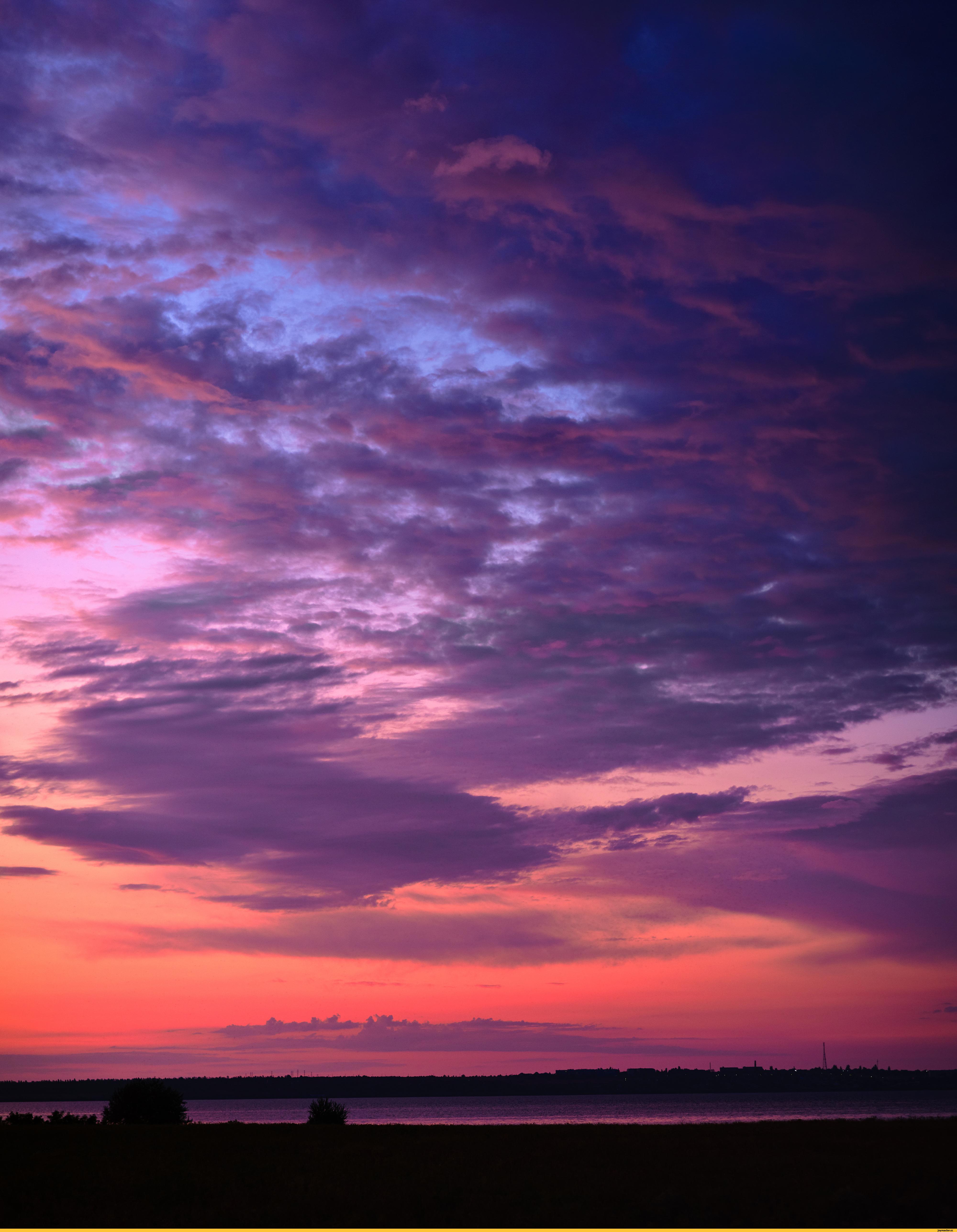 Закат, небо розовое, облака золотистые и...\" | Stablecog Gallery