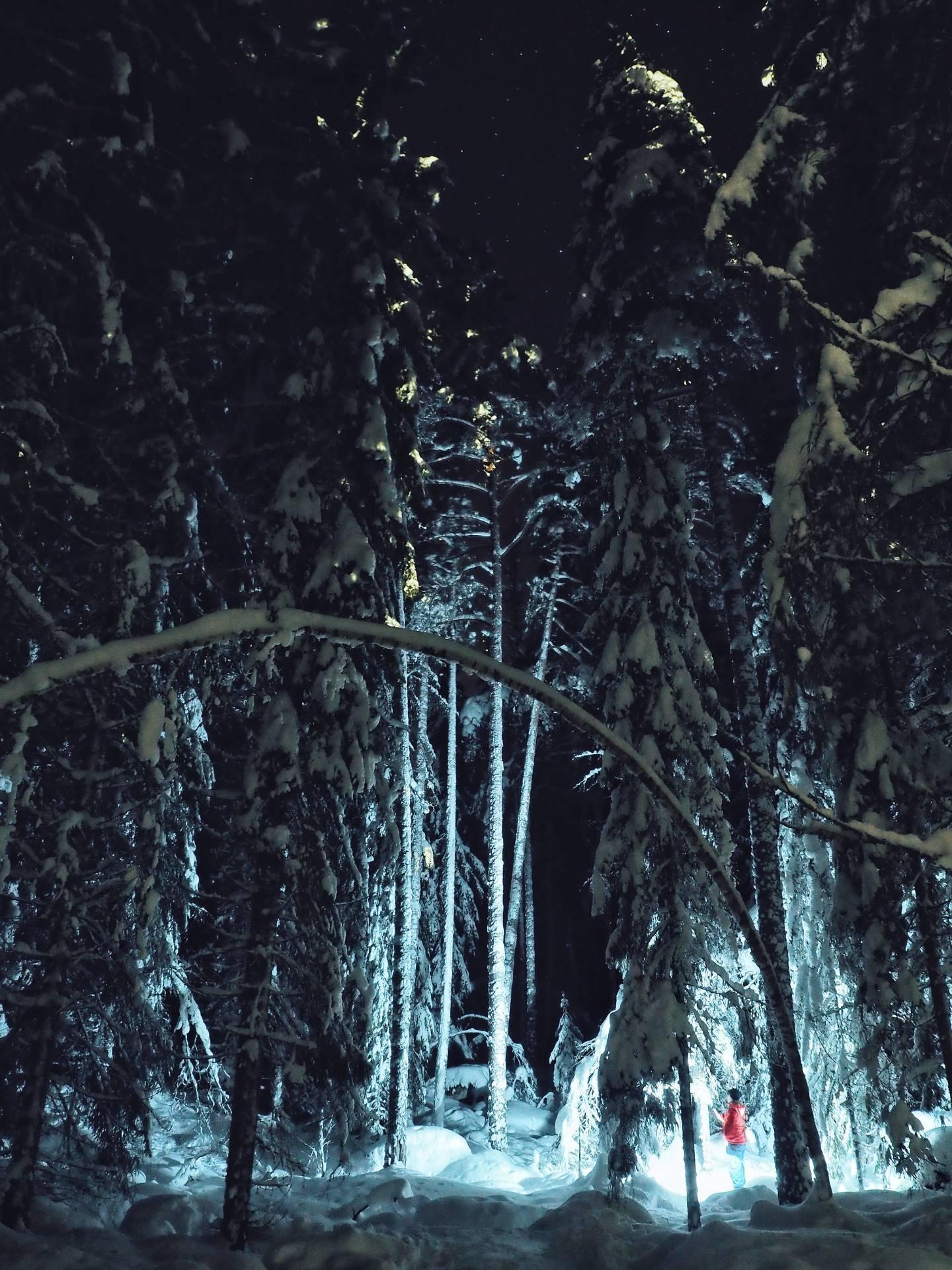Природа зима ночь (54 фото) - 54 фото