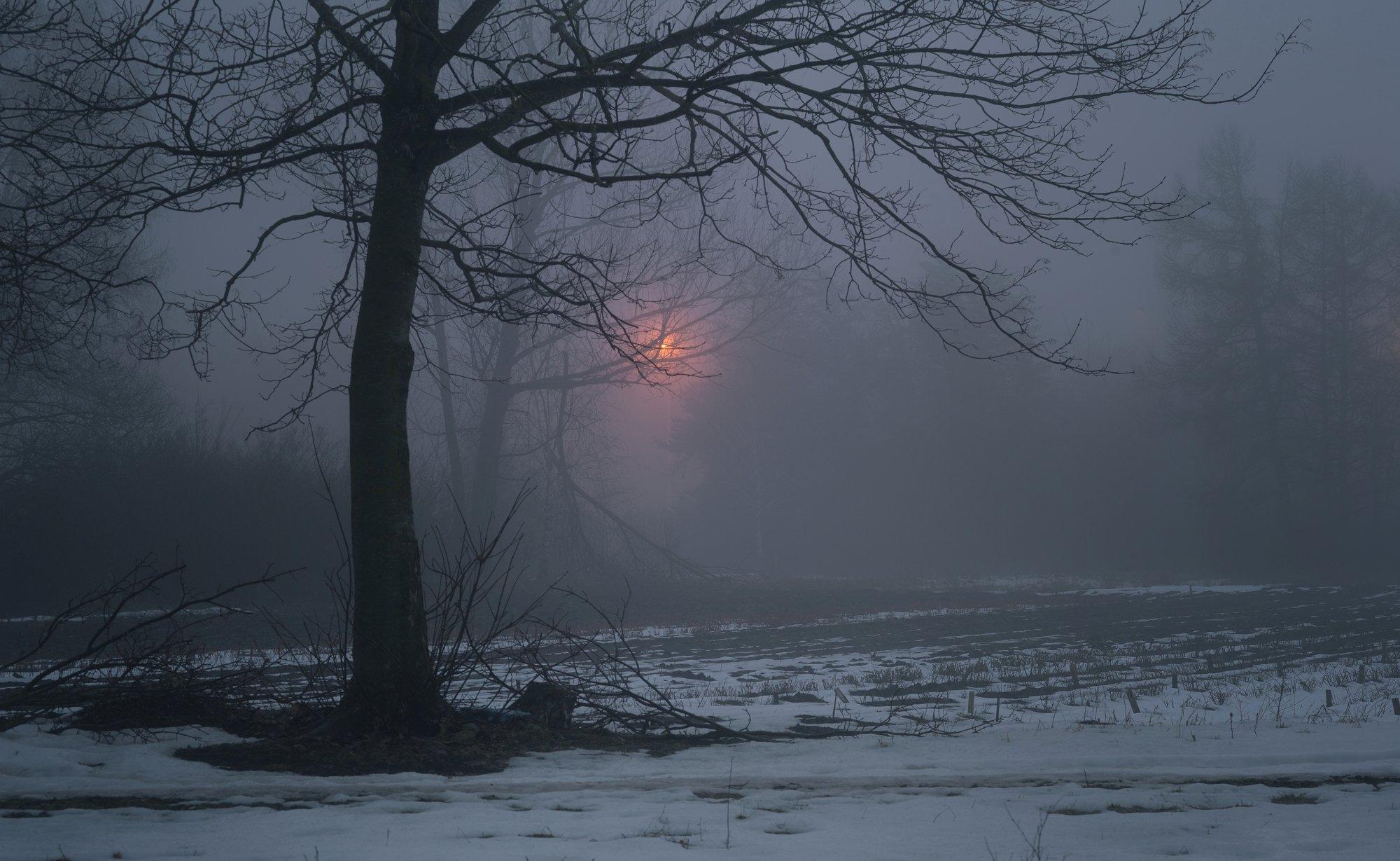 Ночной туман зимой. Photographer Aleksandr Zharnikov