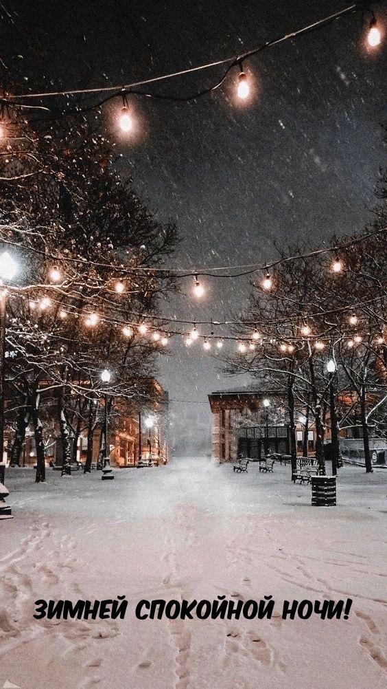 Ландшафт зимы ночи снежный в переулке парка города Стоковое Фото -  изображение насчитывающей свет, холодно: 108936006