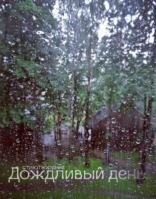 Не опять, а снова: синоптики обещают дождь в Новороссийске