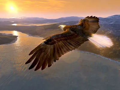 Парящий в небе орёл на фоне гор - обои на телефон