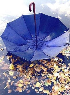 осень небо отражение в луже воды асфальт после дождя пузыри дождь сезон осень  листья падение строительство отражение на воде Стоковое Фото - изображение  насчитывающей небо, дорога: 226893044