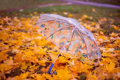 Осень, дождь, листья, лужи» — создано в Шедевруме