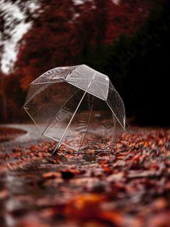 Скачать 240x320 зонт, осень, дождь, листва обои, картинки мобильный телефон,  смартфон