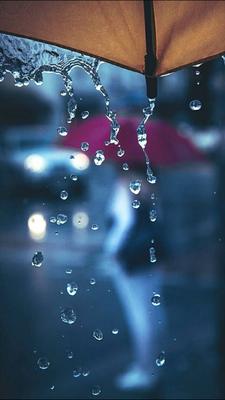 Осень дождь обои на телефон [26+ изображений]